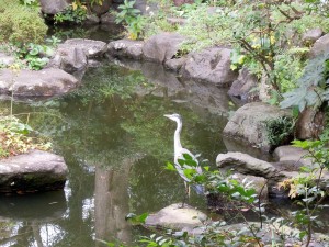 披露山庭園住宅地管理組合法人の共有財産の一つである日本庭園には、侘びた東屋と池には錦鯉、石灯籠と竹林が配され、心静かな時が流れています。